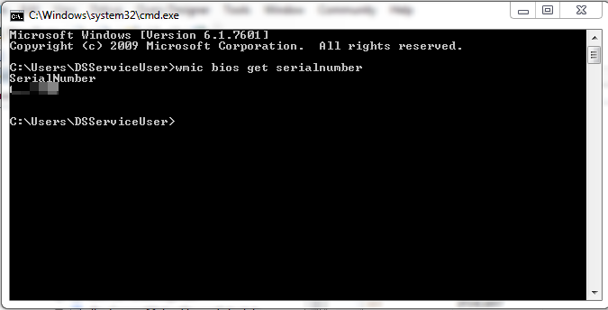 How to Obtain the Server Serial Number From a Windows Device.