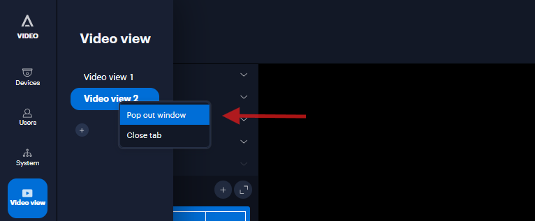 Split the Video View Panels in More Than One Monitor